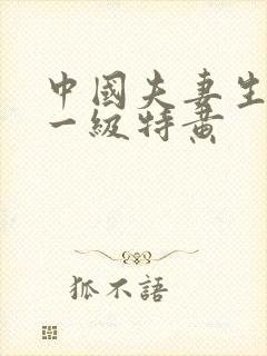中国夫妻生活片一级特黄