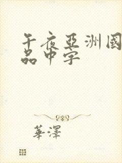 午夜亚洲国产精品中字