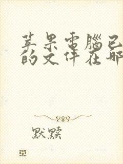 苹果电脑已下载的文件在哪