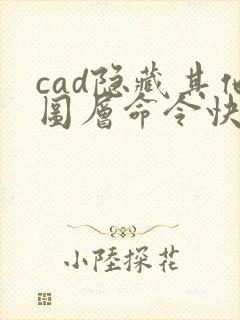cad隐藏其他图层命令快捷键