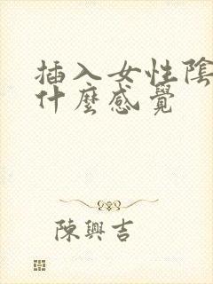 插入女性阴道有什么感觉