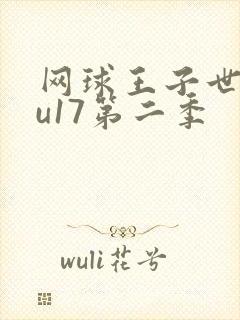 网球王子世界杯u17第二季