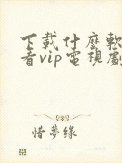 下载什么软件能看vip电视剧