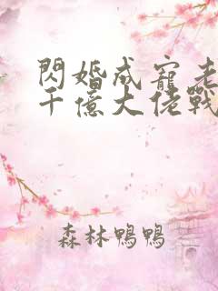 闪婚成宠老公是千亿大佬战胤海