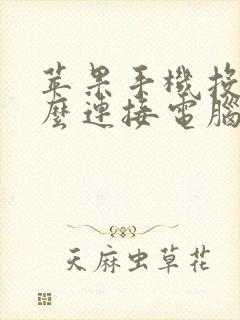 苹果手机投屏怎么连接电脑