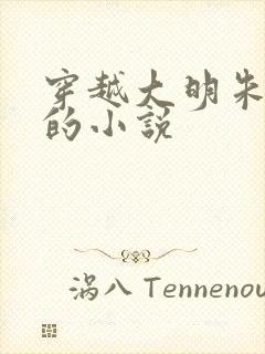 穿越大明朱高煦的小说