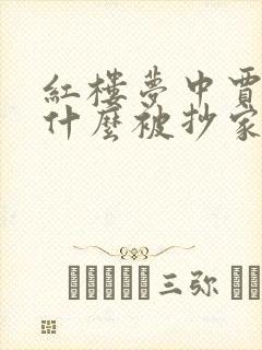 红楼梦中贾府为什么被抄家