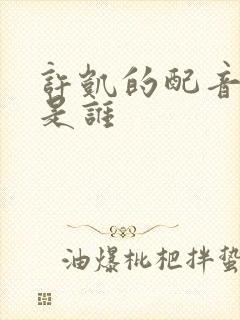 许凯的配音演员是谁