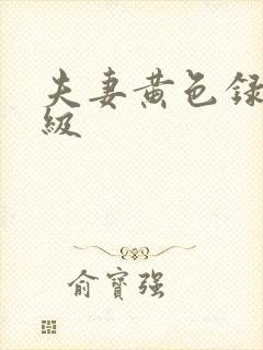 夫妻黄色录像一级