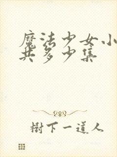 魔法少女小圆一共多少集