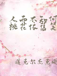 人面不知何处去桃花依旧笑春风解析