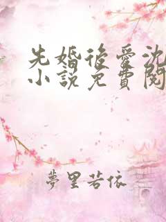 先婚后爱沈书记小说免费阅读全文