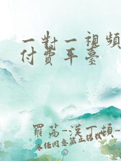 一对一视频聊天付费平台