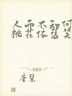人面不知何处去桃花依旧笑春风的故事