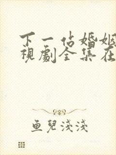 下一站婚姻 电视剧全集在线观看