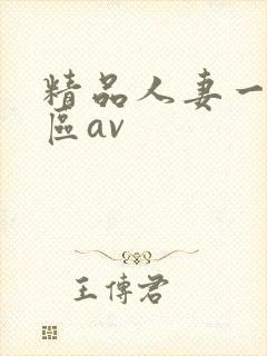 精品人妻一区二区av