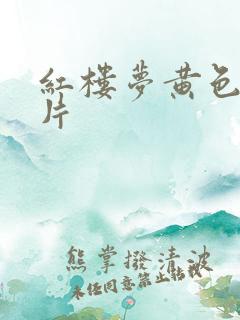红楼梦黄色一级片