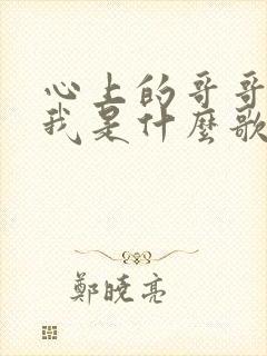 心上的哥哥等着我是什么歌