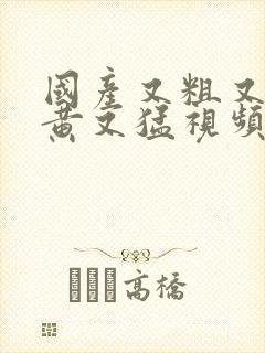 国产又粗又爽又黄又猛视频