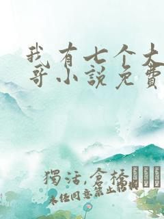 我有七个大佬哥哥小说免费下载