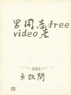 男同志free video老