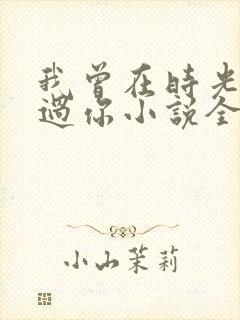 我曾在时光里听过你小说全文免费阅读