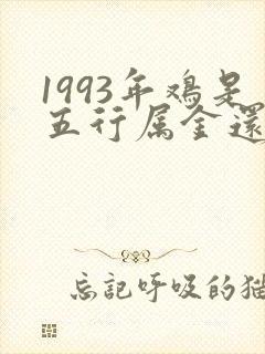 1993年鸡是五行属金还是属水