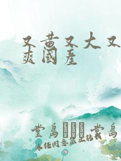 又黄又大又色又爽国产