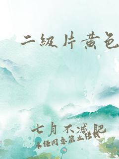 二级片黄色录像