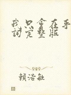 我只会在乎你歌词完整版