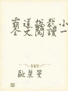 霸道总裁小娇妻全文阅读一百万