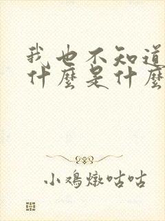 我也不知道爱你什么是什么歌