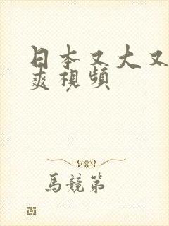 日本又大又黄又爽视频