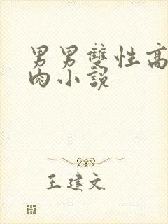 男男双性高h纯肉小说