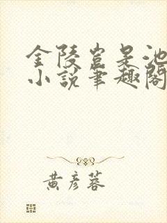金陵岂是池中物小说笔趣阁