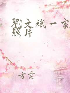 刘文斌一家三口照片