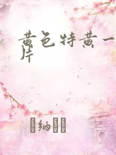 黄色特黄一级大片