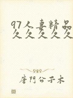 97人妻精品久久久久久久久