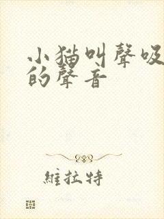 小猫叫声吸引猫的声音