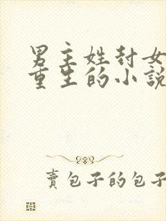 男主姓封女主是重生的小说