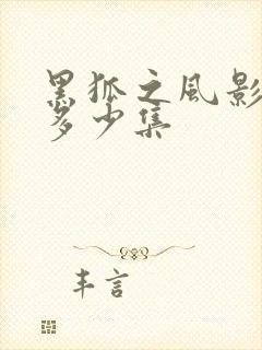 黑狐之风影一共多少集