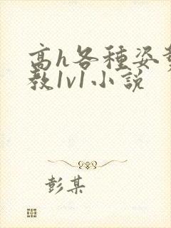 高h各种姿势调教1v1小说