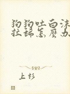 狗狗吐白沫黏液拉稀怎么办