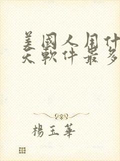 美国人用什么聊天软件最多