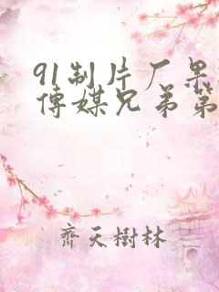 91制片厂果冻传媒兄弟第一集