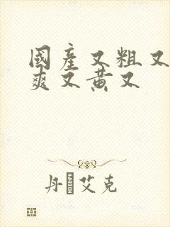 国产又粗又猛又爽又黄又