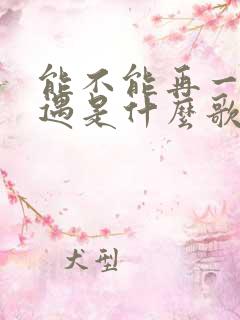 能不能再一次相遇是什么歌