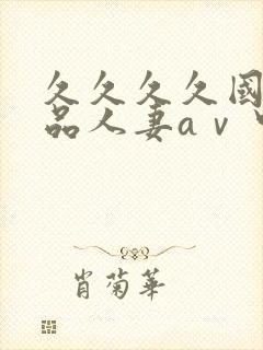 久久久久国产精品人妻aⅴ中出