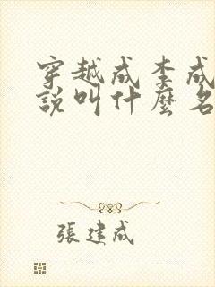 穿越成李成安小说叫什么名字