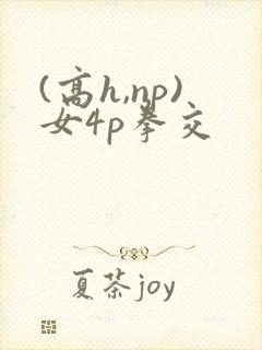 (高h,np)女4p拳交